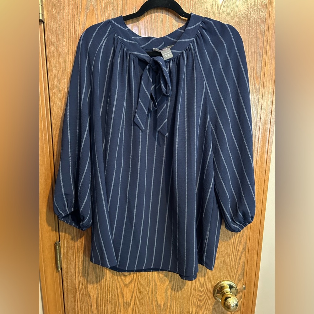 Blue pinstriped long sleeve blouse size 1XL